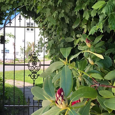 Ekenäs Gård på Österlen Kivik Exteriör bild