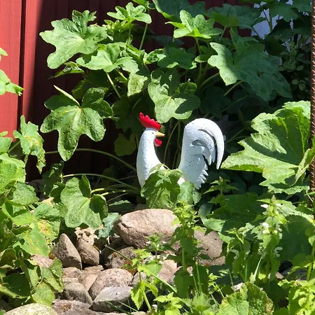 Ekenäs Gård på Österlen Kivik Exteriör bild